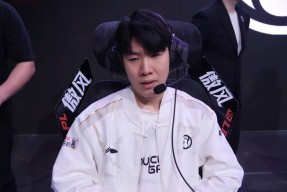 关于TheShy新星败北表现惊艳，IG未来可期！的信息